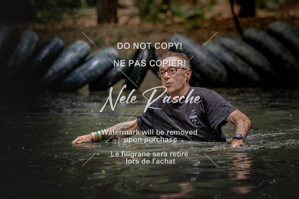 nelerasche_SaWingst1200-1230_84 | nelerasche