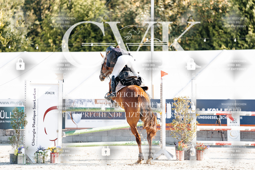CK901786 | Turnierfotografie Pferdefotografie Trier Rheinland-Pfalz Pferdesport Reitsport Tierfotografie Sportfotografie Pferdevideo Pferdevideografie Equestrianvideography equestrianphotography  - Realisiert mit Pictrs.com