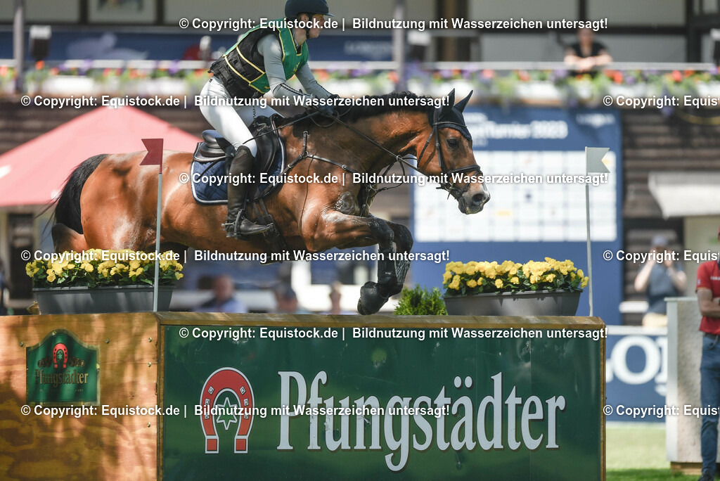 20230527_27_CCI4_Gelände_0149 | equistock