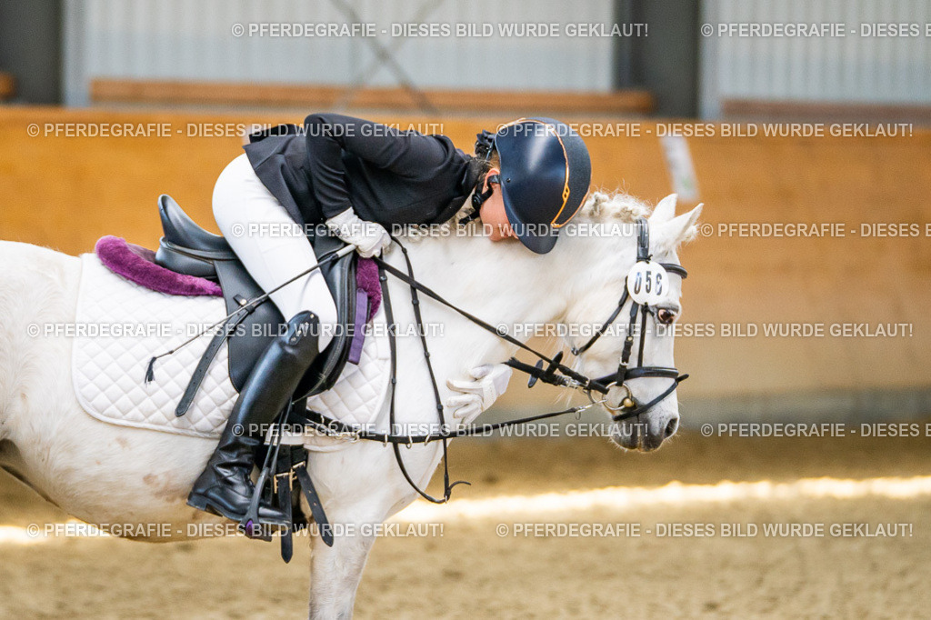 DSC03517 | Pferdegrafie