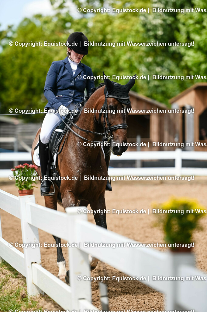 20230716_01_Dressurprüfung Kl.M_0182 | equistock