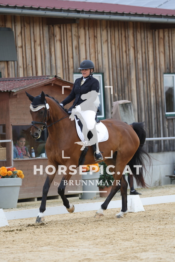 0P6A8182 | Willkommen bei Brunnmayr - Design & Fotografie – Ihrem Spezialisten für Reitturniere und Pferdeveranstaltungen in Oberösterreich, Salzburg und Bayern! Seit über 17 Jahren sind wir leidenschaftlich dabei.