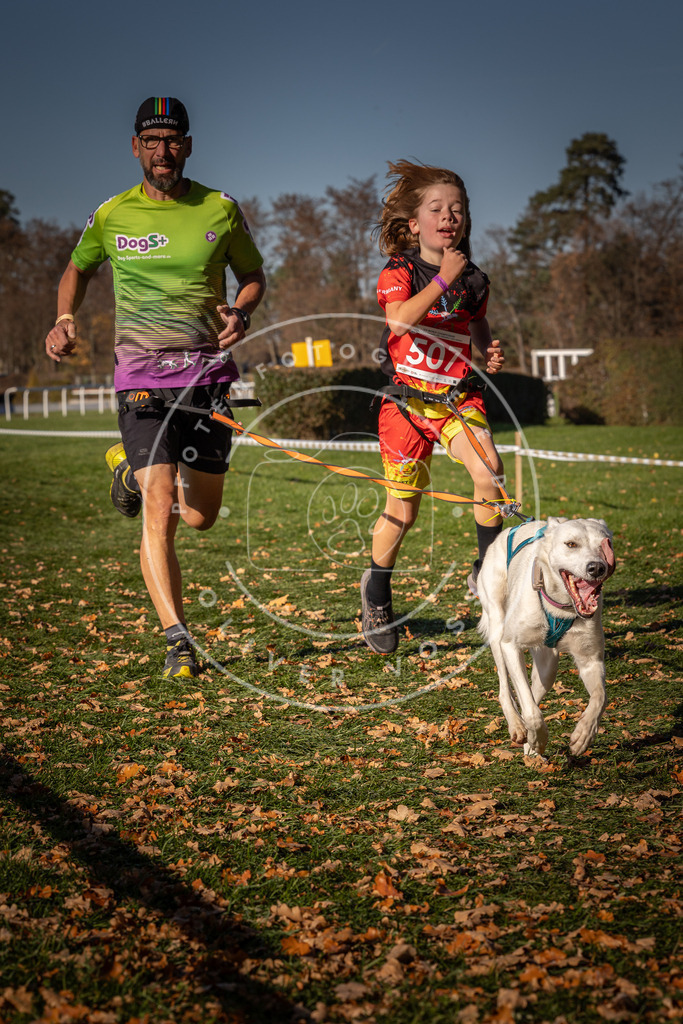 CaniXpix_0L8A6769 | Hundefotografie, Tierfotograf, Pfotenfotografie, Fotoshooting Hund, Hunde Portrait, Hundesport, Hundeportraits, Heideshooting, Hunde, Sportfotograf, Hundefotograf, Turnierhundsport, THS,  - Realisiert mit Pictrs.com