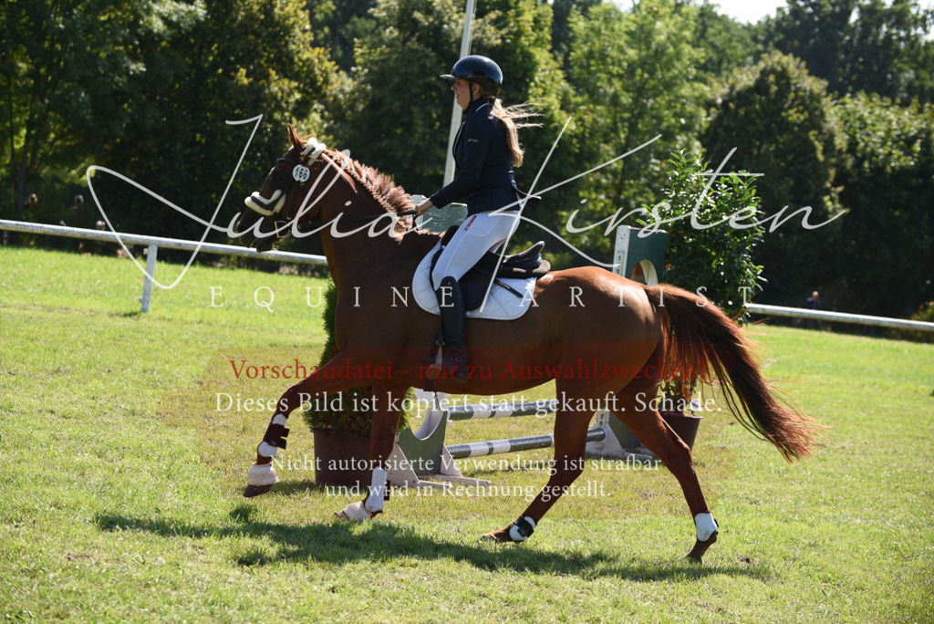 DSC_9344 | Pferde- und Turnierfotografie in Westsachsen. Pferdeportraits, Auftragszeichnungen und intuitive Kunst.