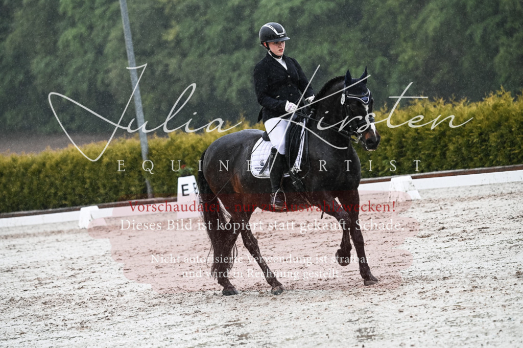 DSC_4675 | Pferde- und Turnierfotografie in Westsachsen. Pferdeportraits, Auftragszeichnungen und intuitive Kunst.