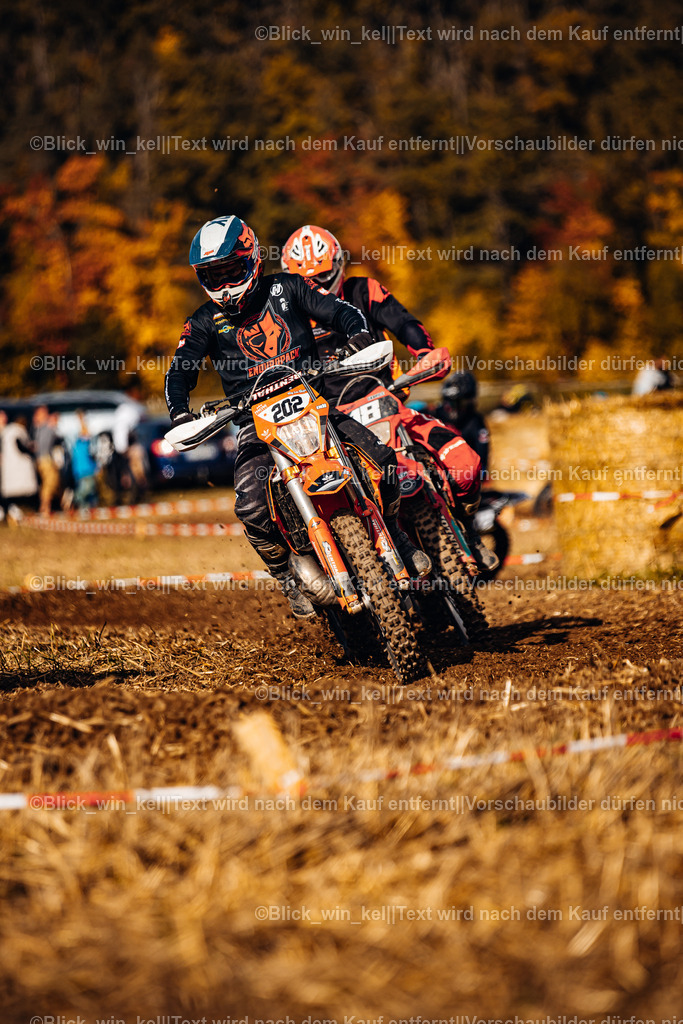 E68A8115 | blick_win_kel