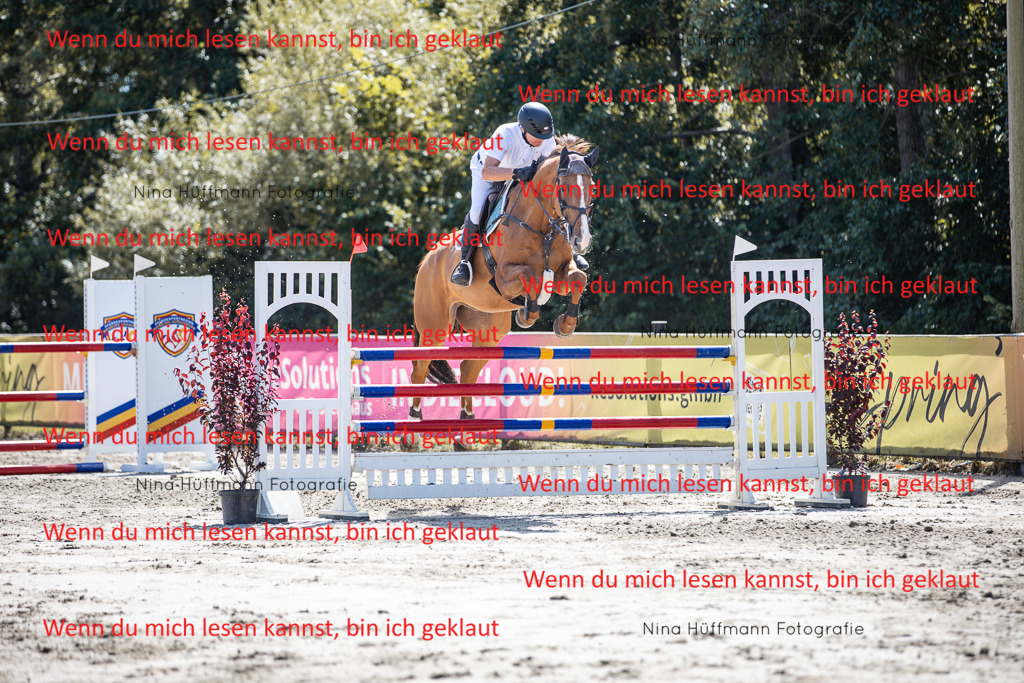BK1A6444 | Turnierbilder Turnierfotos Nina Hüffmann Turnierfotografie Pferdefotografie Tierzeichnung Haustierzeichnung Pferdezeichnung Hundezeichnung Videograf  - Realisiert mit Pictrs.com