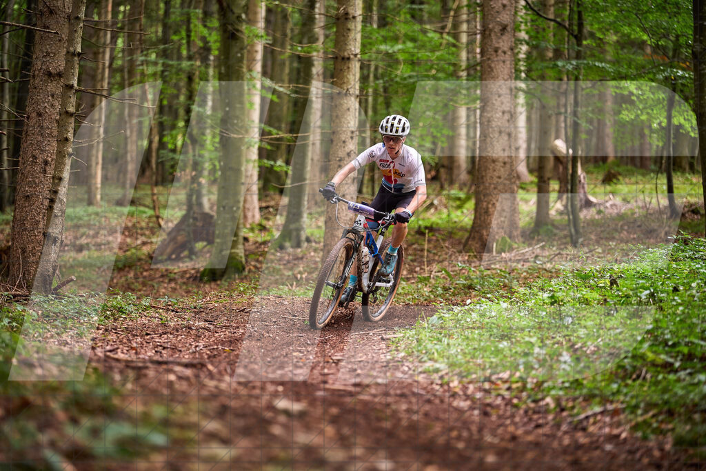 Betriebszentrum Laubenbachmühle, Frankenfels, Österreich - 13. September 2025: Dirndltal Race - Fun und Trophy RaceFotograf: Martin Bihounek / martinbihounek.com | 13. September 2025 Betriebszentrum Laubenbachmühle, Frankenfels, Österreich : Dirndltal Race - Fun und Trophy Race •••••Photo by: Martin Bihounek / martinbihounek.comInsta: @martinbihounekcom