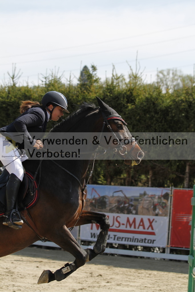 _MG_9603 | equestrian-live-com