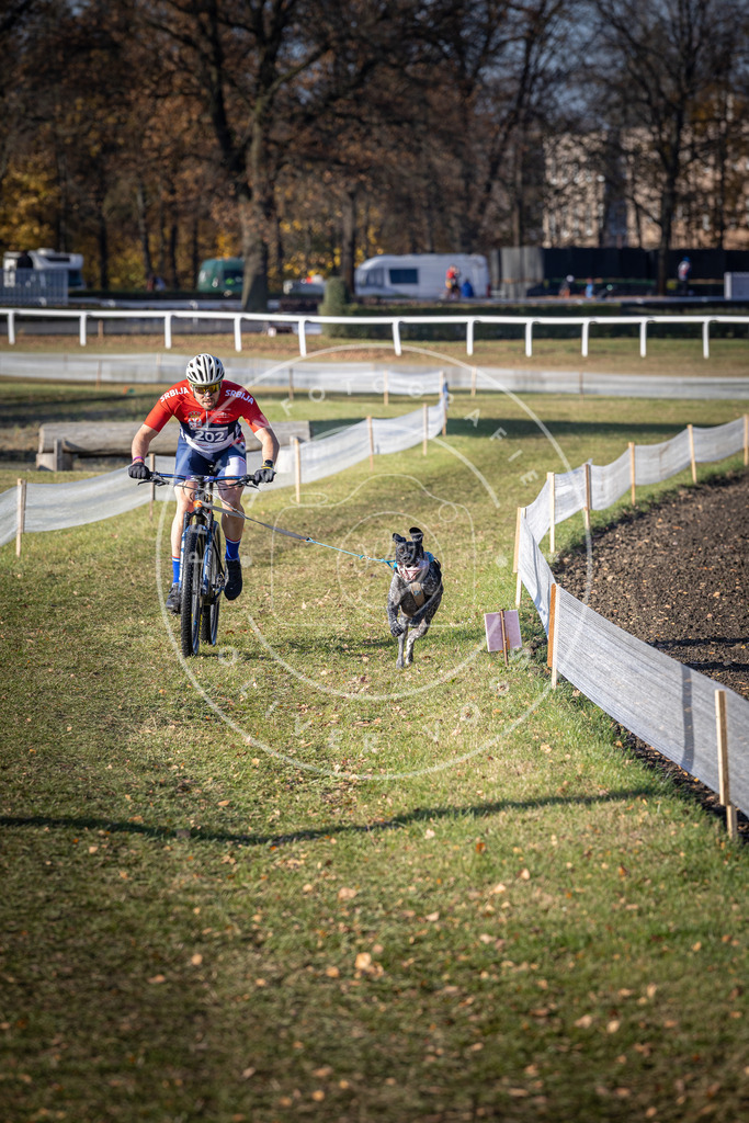 CaniXpix_DV3A2780 | Hundefotografie, Tierfotograf, Pfotenfotografie, Fotoshooting Hund, Hunde Portrait, Hundesport, Hundeportraits, Heideshooting, Hunde, Sportfotograf, Hundefotograf, Turnierhundsport, THS,  - Realisiert mit Pictrs.com