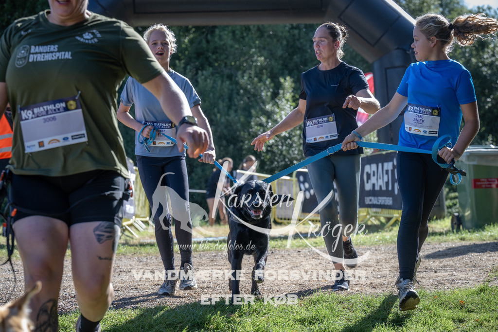 0959_ZZ97644 | kk-dogfotos