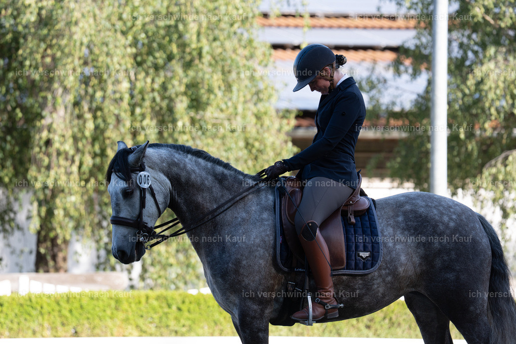 WL_DR_6_sinafilmart_IN05829 | working equitationturnier fotograf videograf stoibphotography marixx film working equitation deutschland reitsport turnierfotografie eventfotografie equestrian events
