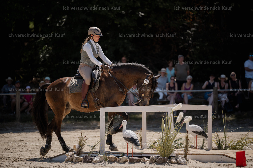 WM_SP_131_Stoibphotography_SO17902 | working equitationturnier fotograf videograf stoibphotography marixx film working equitation deutschland reitsport turnierfotografie eventfotografie equestrian events