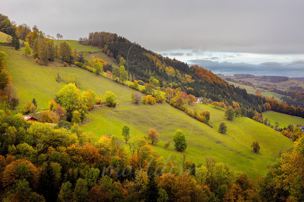 Die Hinterleitn in Randegg | Bei Veröffentlichung des Bildes ist eine Namensnennung wie folgt erforderlich: Foto: Mostdirn Irmgard Wieser - Realisiert mit Pictrs.com