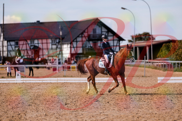 2026_10_03_Siefer-Hof_133156_Z81_87430884 | Professionelle Reitsport-, Turnier- und Eventfotografie von Robert Broda. Galerien mit ausgewählten und bearbeiteten Bildern direkt online ansehen und bestellen.