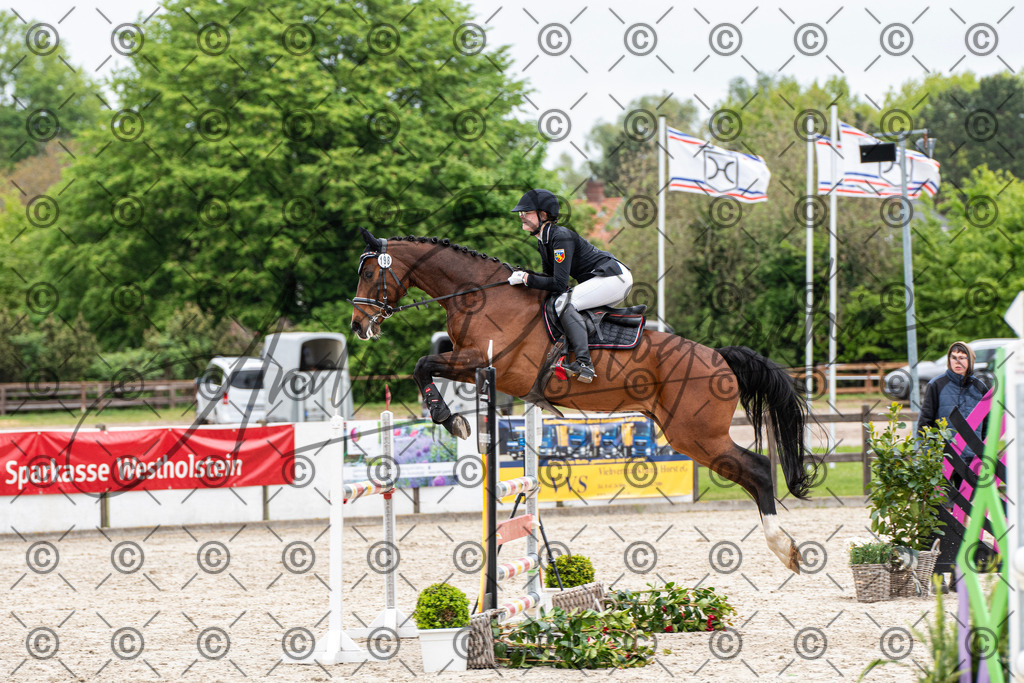 KPT_8483 | andre_photographic