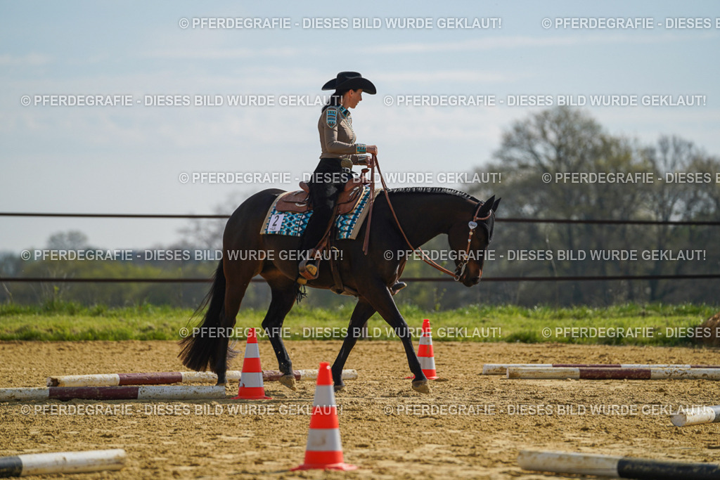 DSC01354 | Pferdegrafie