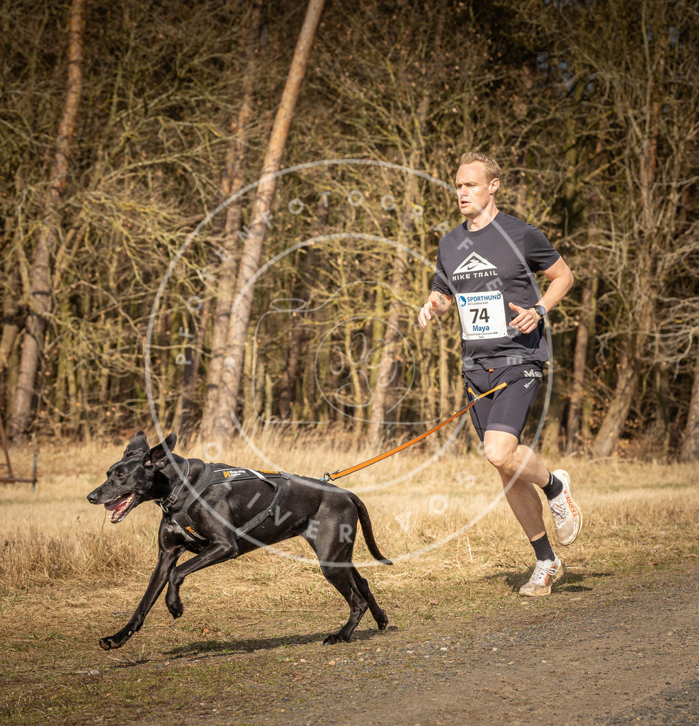 DV3A5671 | Hundefotografie, Tierfotograf, Pfotenfotografie, Fotoshooting Hund, Hunde Portrait, Hundesport, Hundeportraits, Heideshooting, Hunde, Sportfotograf, Hundefotograf, Turnierhundsport, THS,  - Realisiert mit Pictrs.com