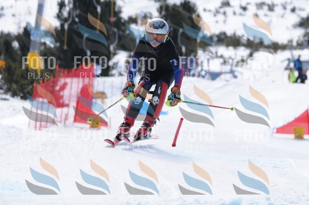 C9938 | holidayphoto