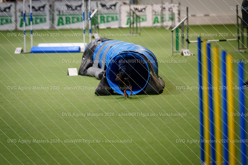 allesWIRTHgut_Tierfotografie-DVG_Agility_Masters_2026-08_17-7R507855 | Professionelle Tierfotografie in Mönchengladbach von Daniel Wirth (allesWIRTHgut). Liebevolle & natürliche Bilder von Hunden & Katzen für unvergessliche Erinnerungen.