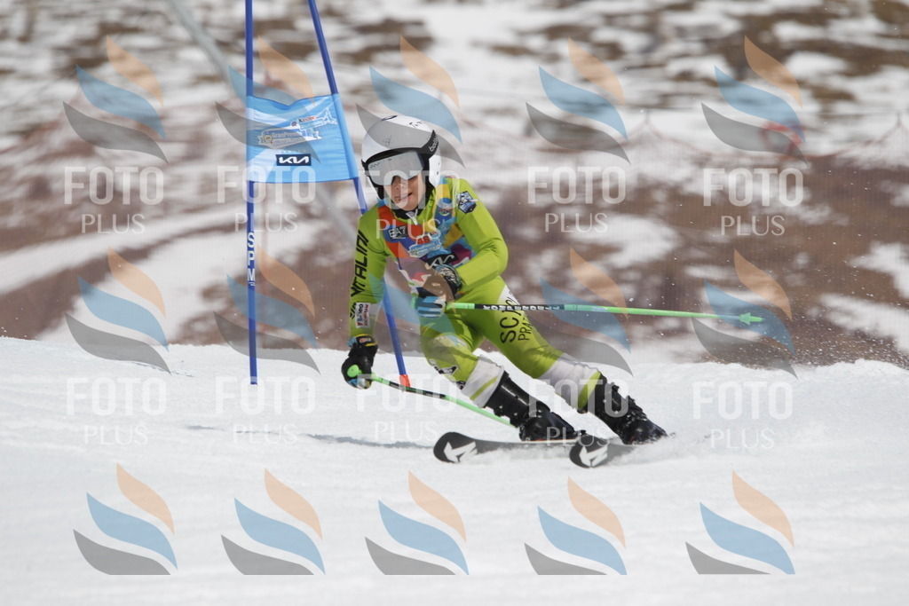 _U3G2548 | holidayphoto