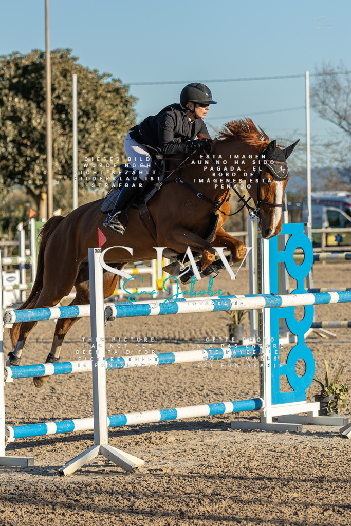 IMG_2521 | s-jay-photography - Realisiert mit Pictrs.com