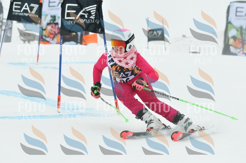 DSC_8031 | holidayphoto