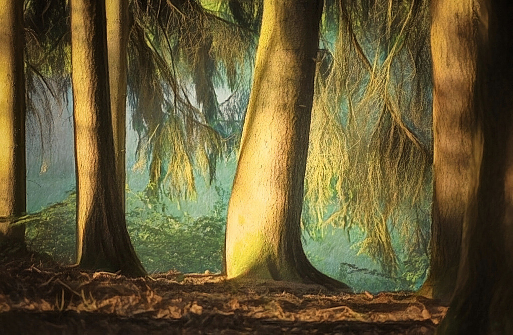 202310101741001000081446-01-2 | Kaufen sie online außergewöhnliche Fotografien auf Leinwand Acrylglas Fotoprint Aludibond von holgerweigeltfotografie - Realisiert mit Pictrs.com