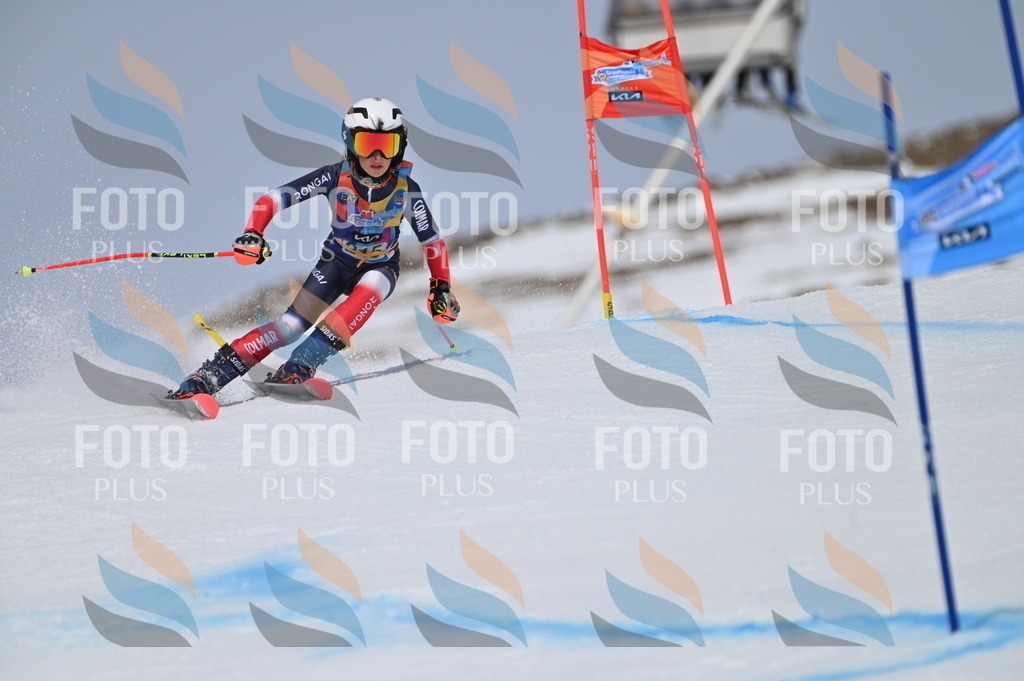 BGV_4173 | holidayphoto