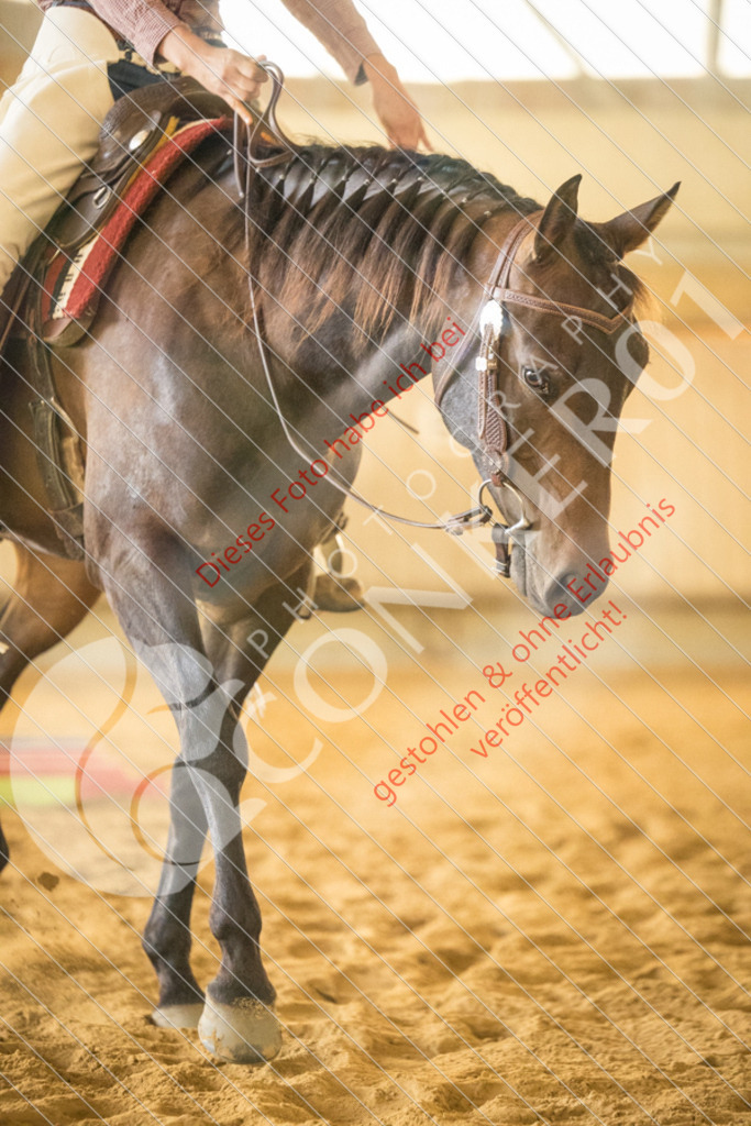IMG_1510 | Sport-, Event- und Tierfotos in Profiqualität. Einfach auswählen, bestellen und herunterladen. Dein Moment – perfekt festgehalten.