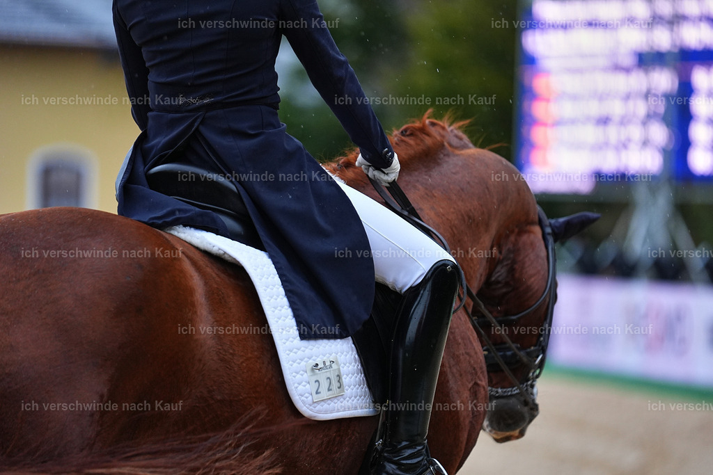 8_1-223-Klasse S_  -Marixx-4294 | working equitationturnier fotograf videograf stoibphotography marixx film working equitation deutschland reitsport turnierfotografie eventfotografie equestrian events