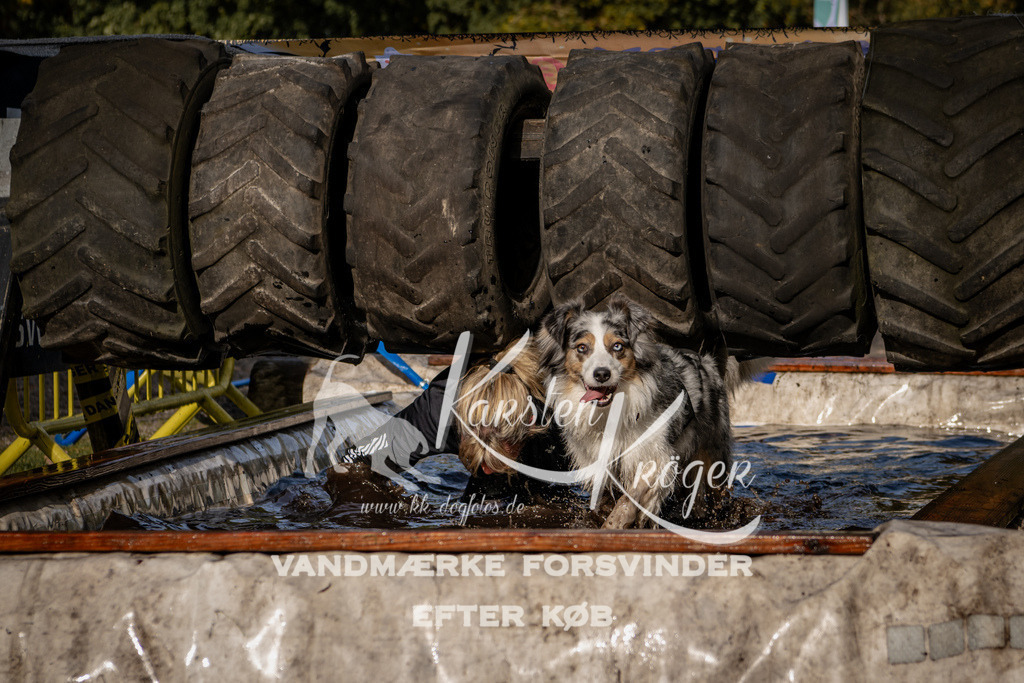 1352_ZZ93262 | kk-dogfotos