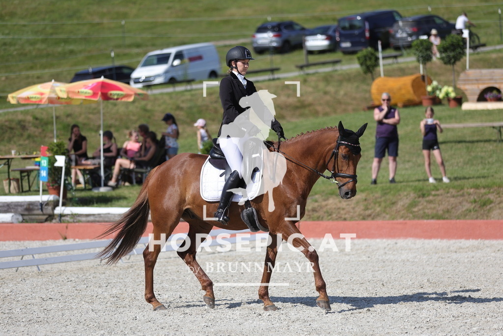 0P6A8131 | Willkommen bei Brunnmayr - Design & Fotografie – Ihrem Spezialisten für Reitturniere und Pferdeveranstaltungen in Oberösterreich, Salzburg und Bayern! Seit über 17 Jahren sind wir leidenschaftlich dabei.