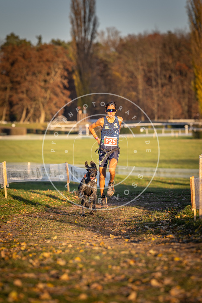 CaniXpix_DV3A5005 | Hundefotografie, Tierfotograf, Pfotenfotografie, Fotoshooting Hund, Hunde Portrait, Hundesport, Hundeportraits, Heideshooting, Hunde, Sportfotograf, Hundefotograf, Turnierhundsport, THS,  - Realisiert mit Pictrs.com
