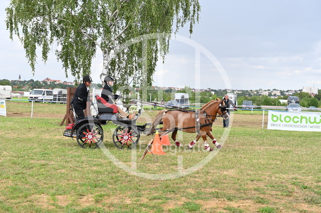 DSC_4513 | sattelsport - Realisiert mit Pictrs.com