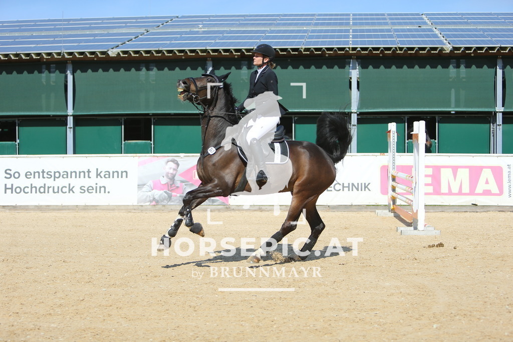 DL2Q3455 | Willkommen bei Brunnmayr - Design & Fotografie – Ihrem Spezialisten für Reitturniere und Pferdeveranstaltungen in Oberösterreich, Salzburg und Bayern! Seit über 17 Jahren sind wir leidenschaftlich dabei.