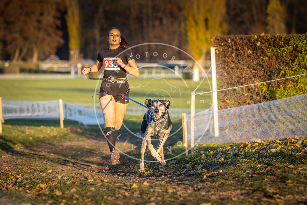 CaniXpix_DV3A5216 | Hundefotografie, Tierfotograf, Pfotenfotografie, Fotoshooting Hund, Hunde Portrait, Hundesport, Hundeportraits, Heideshooting, Hunde, Sportfotograf, Hundefotograf, Turnierhundsport, THS,  - Realisiert mit Pictrs.com