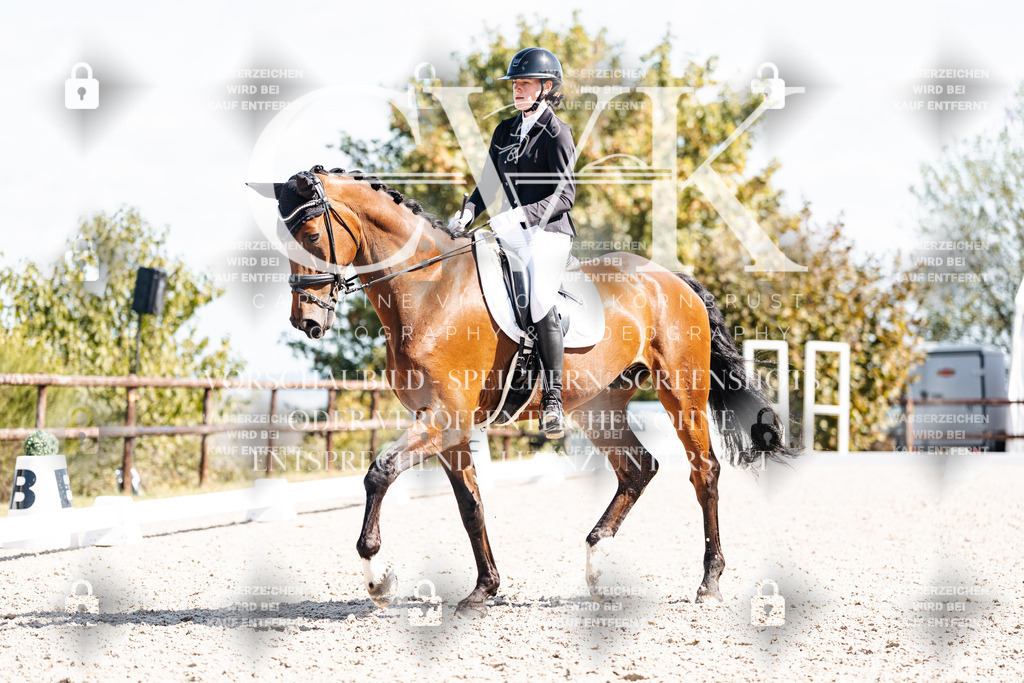 CK902915 | Turnierfotografie Pferdefotografie Trier Rheinland-Pfalz Pferdesport Reitsport Tierfotografie Sportfotografie Pferdevideo Pferdevideografie Equestrianvideography equestrianphotography  - Realisiert mit Pictrs.com