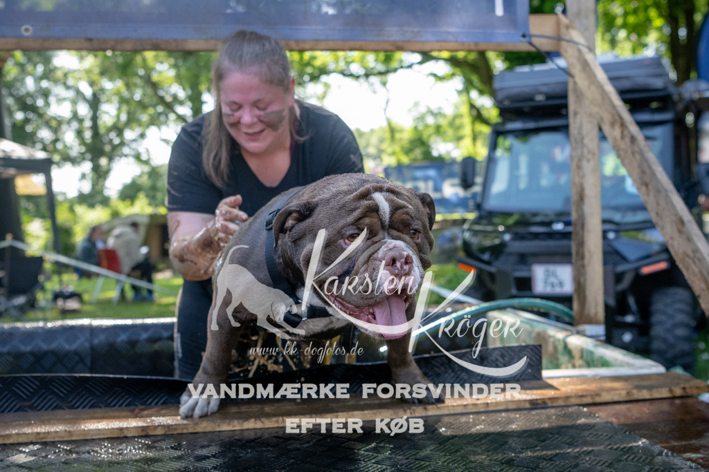 1516_ZZ90678 | kk-dogfotos