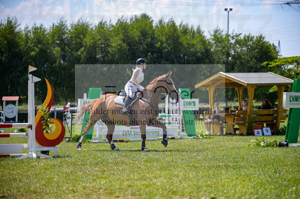 Reitturnier Voxtrup | Entdecke hochwertige Reitturnierfotos von Foto Oger. Professionell, emotional und authentisch – jetzt Lieblingsmomente im Shop bestellen.Deutschlandweite Turnierfotografie. - Realisiert mit Pictrs.com