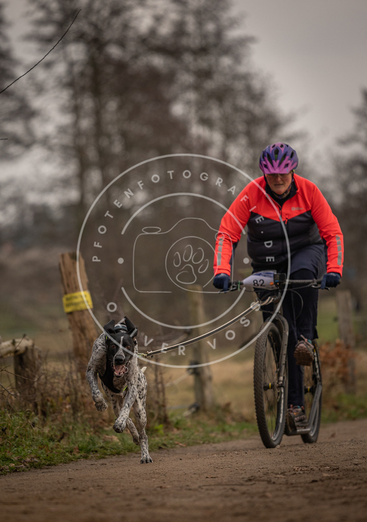 Pfotenfotografie_DV3A3977 | Hundefotografie, Tierfotograf, Pfotenfotografie, Fotoshooting Hund, Hunde Portrait, Hundesport, Hundeportraits, Heideshooting, Hunde, Sportfotograf, Hundefotograf, Turnierhundsport, THS,  - Realisiert mit Pictrs.com