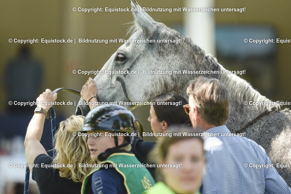 20230527_27_CCI4_Gelände_0243 | equistock