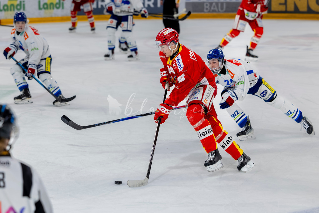 EHCB vs GCK 20260104-8458 | Sportbilder, Sportfotograf, Hochzeits- und Eventfotografin, Flugshows, Portraits und Tiershooting, Aviation, Downhill, Nationalleague, Swissleague, International