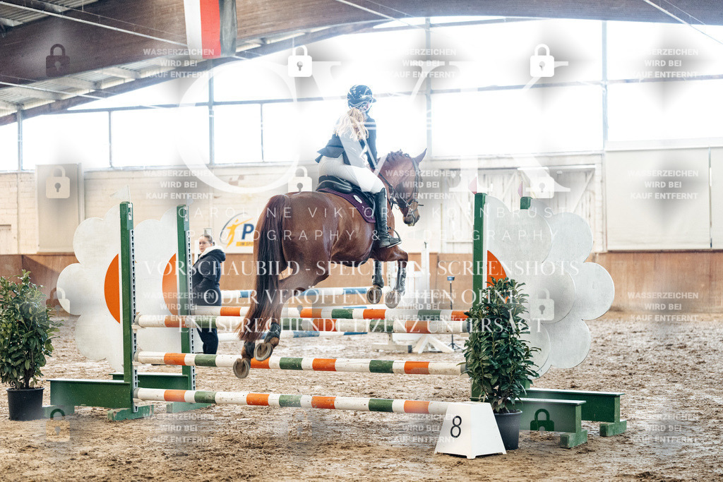 CK904760 | Turnierfotografie Pferdefotografie Trier Rheinland-Pfalz Pferdesport Reitsport Tierfotografie Sportfotografie Pferdevideo Pferdevideografie Equestrianvideography equestrianphotography  - Realized with Pictrs.com
