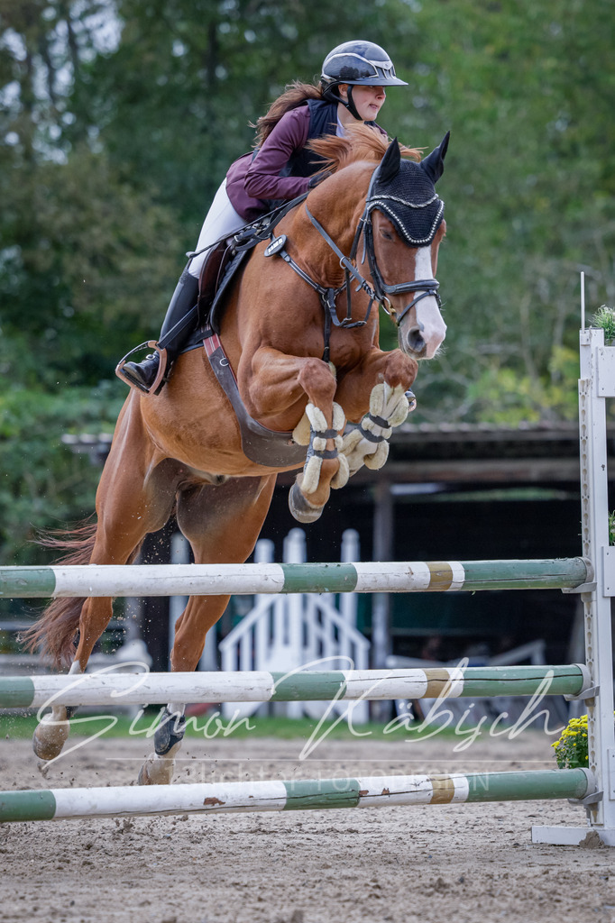 20251012-_3LI5212 | Tierfotografie Pferde, Hunde, Katzen, Haustiere.
Turnierfotografie Reitturniere, Reiten, Springreiten, Dressur in Hanau, dem Main-Kinzig-Kreis und dem Rhein-Main- Gebiet um Frankfurt