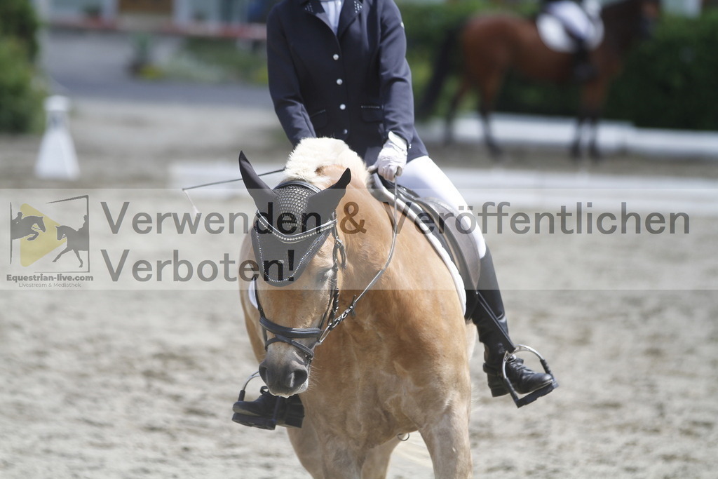 _MG_8558 | equestrian-live-com