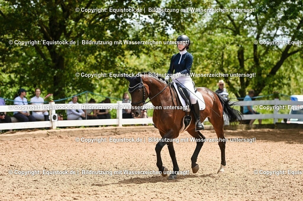 20230716_03_Dressurprfg. Kl.L - Tr._0289 | equistock