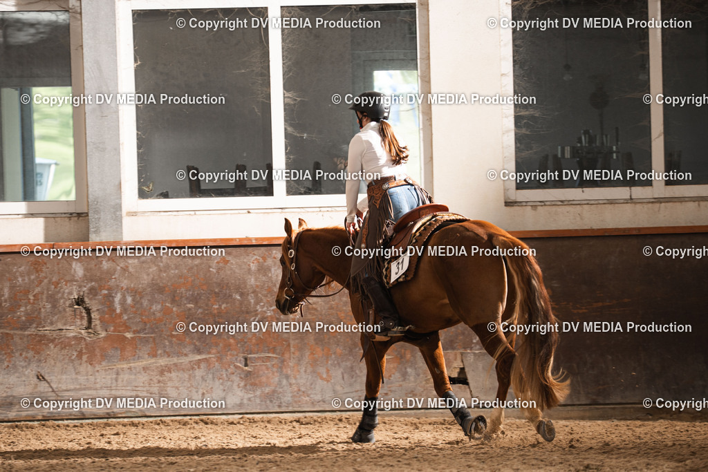 Heiligenwald Tag 2-580 | dv-media-shop - Realisiert mit Pictrs.com