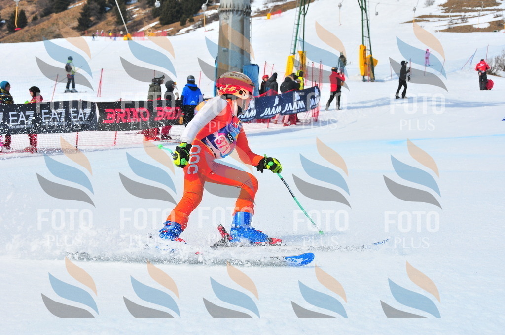 DSC_7141 | holidayphoto