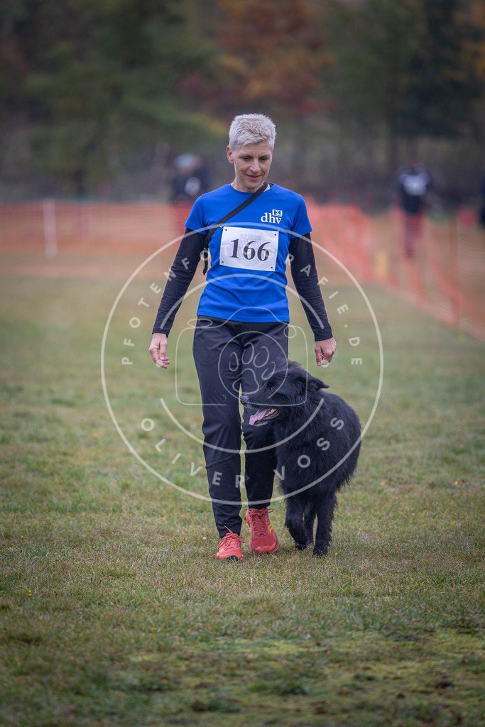 Pfotenfotografie_DV3A8943 | Hundefotografie, Tierfotograf, Pfotenfotografie, Fotoshooting Hund, Hunde Portrait, Hundesport, Hundeportraits, Heideshooting, Hunde, Sportfotograf, Hundefotograf, Turnierhundsport, THS,  - Realisiert mit Pictrs.com